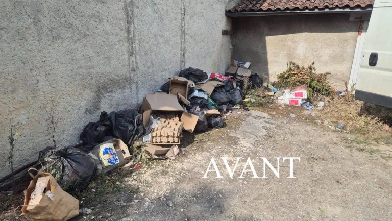 avant-bergerac