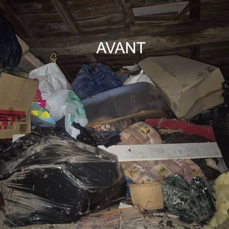 Avant 3